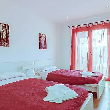 فيلة Sol De Flandes *